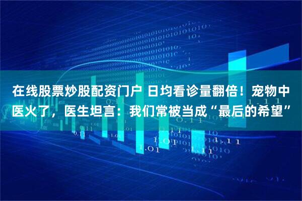 在线股票炒股配资门户 日均看诊量翻倍！宠物中医火了，医生坦言：我们常被当成“最后的希望”